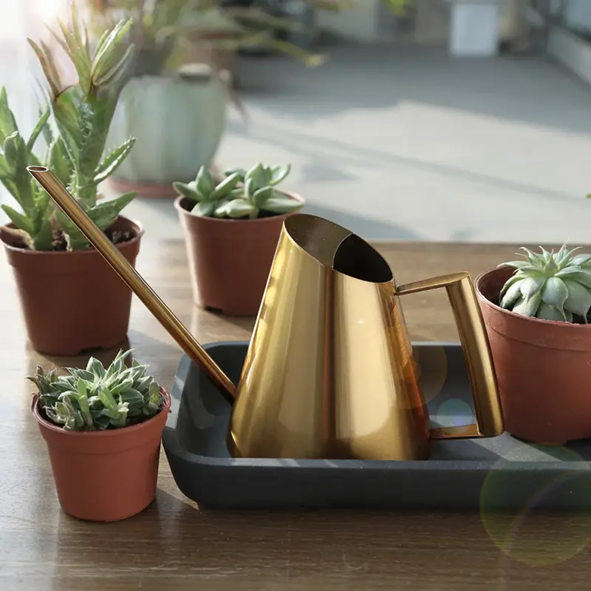 The Garden Lovers Gold Collection - Thumbnail 6