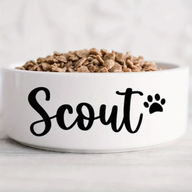 The Blue Dog Collection - Thumbnail 4