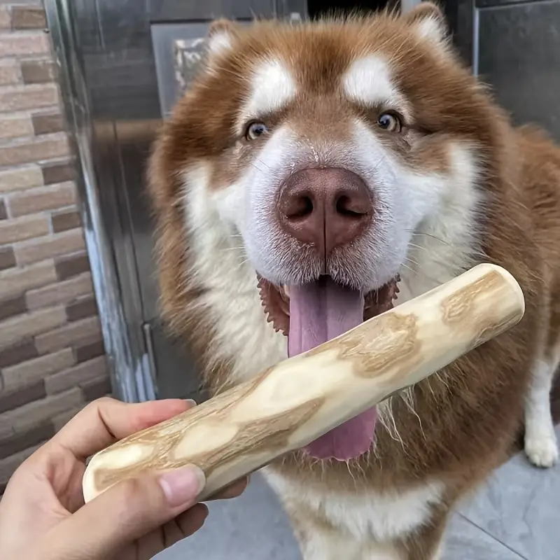 The Blue Dog Collection - Thumbnail 9