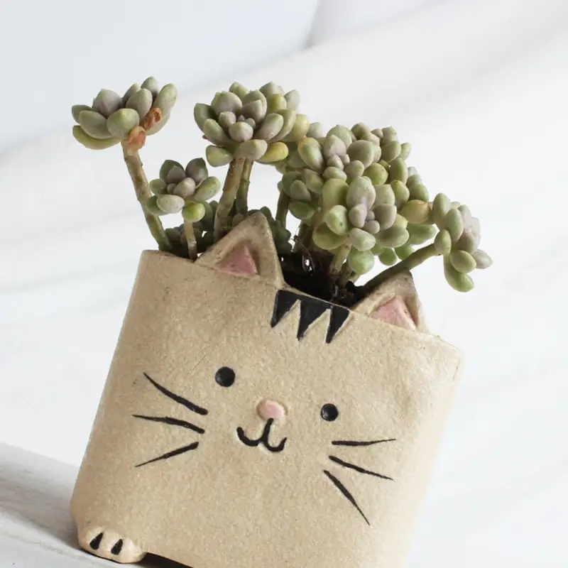 The Cat Lovers Classic Collection - Thumbnail 3