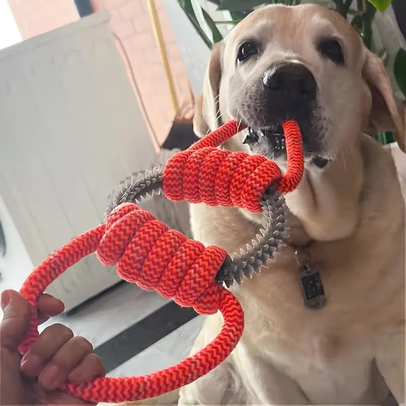 The Red Dog Collection