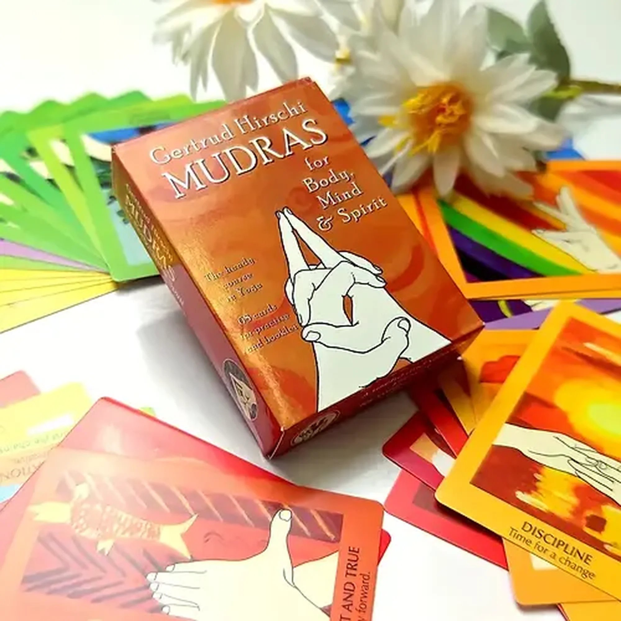 The Meditation Collection - Thumbnail 2