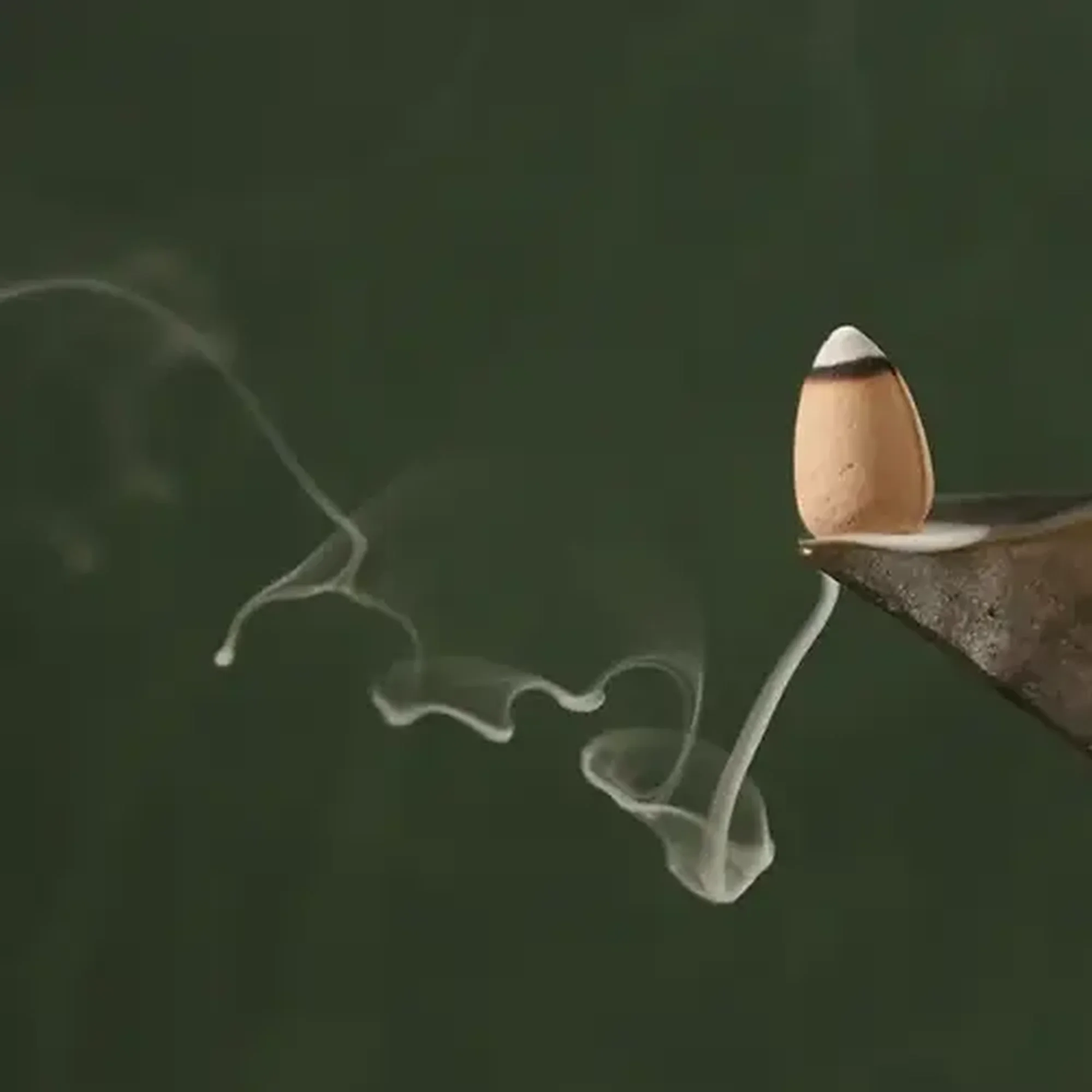 The Meditation Collection - Thumbnail 5